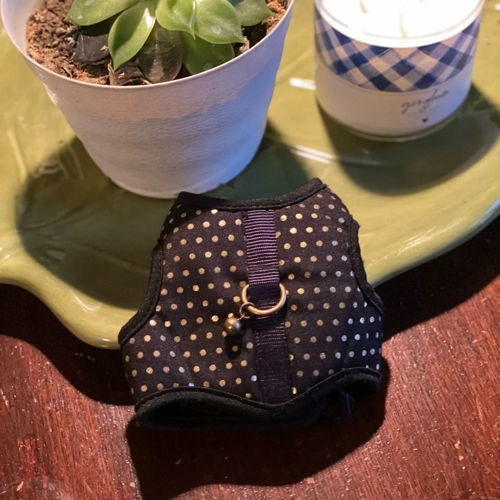 Adorable size small kitten harness